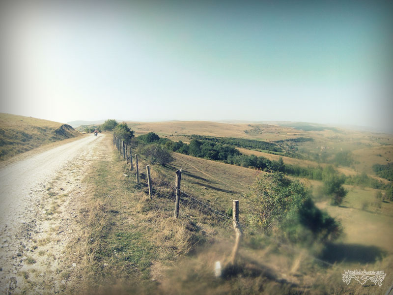 Dirt road to Golija, biking Serbia. Wrong Way Adventures