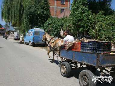 Transporte de Albania