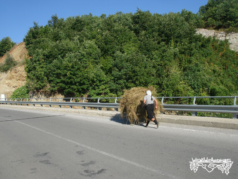 Transporte animal en Albania