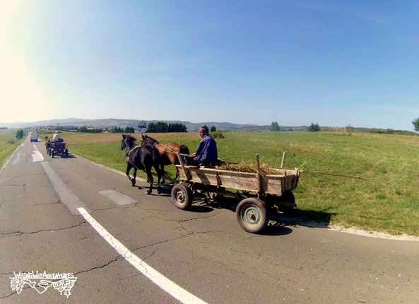 Carro caballos en Serbia